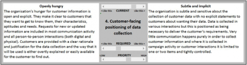 Example Customer Data Strategy Primary Customer Data Example Customer Data Strategy Primary Customer Data